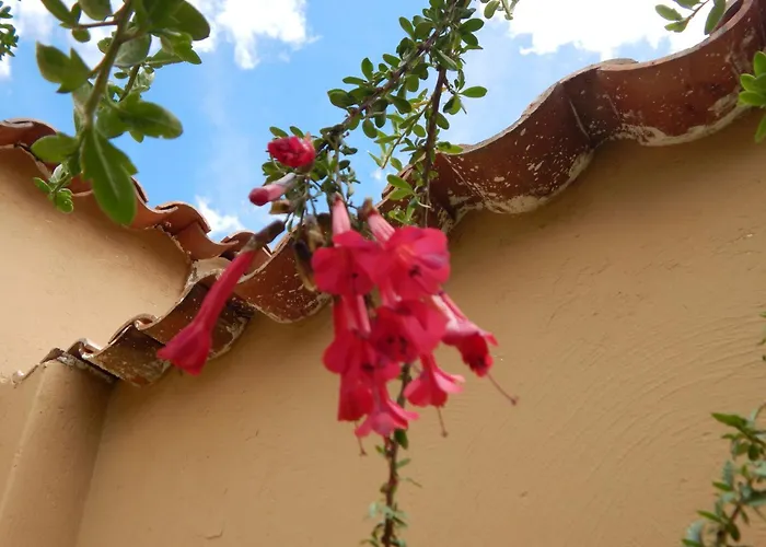 Casa Higospampa, 2 Floors Up To 7 Residents Casa vacanze *